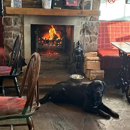 Han/Misafirhane Masons Arms