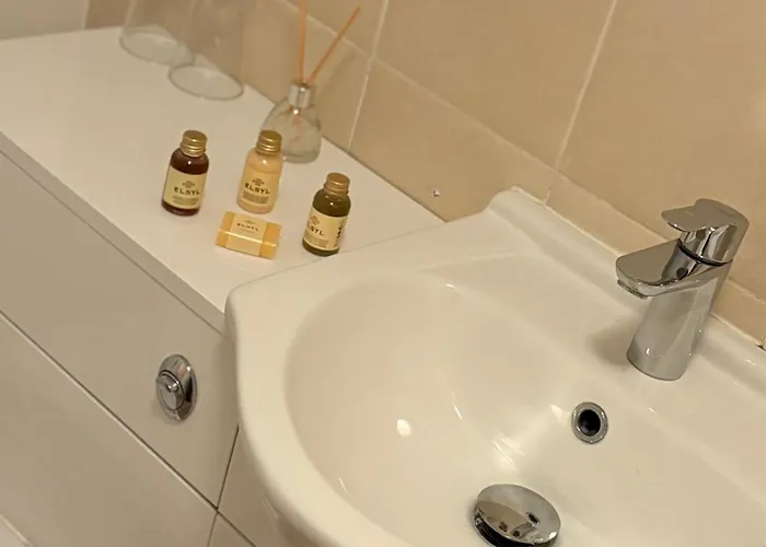 梅森斯阿尔姆斯旅馆 2*